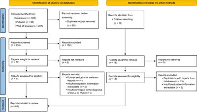 Management of small cell lung cancer complicated with paraneoplastic Cushing’s syndrome: a systematic literature review